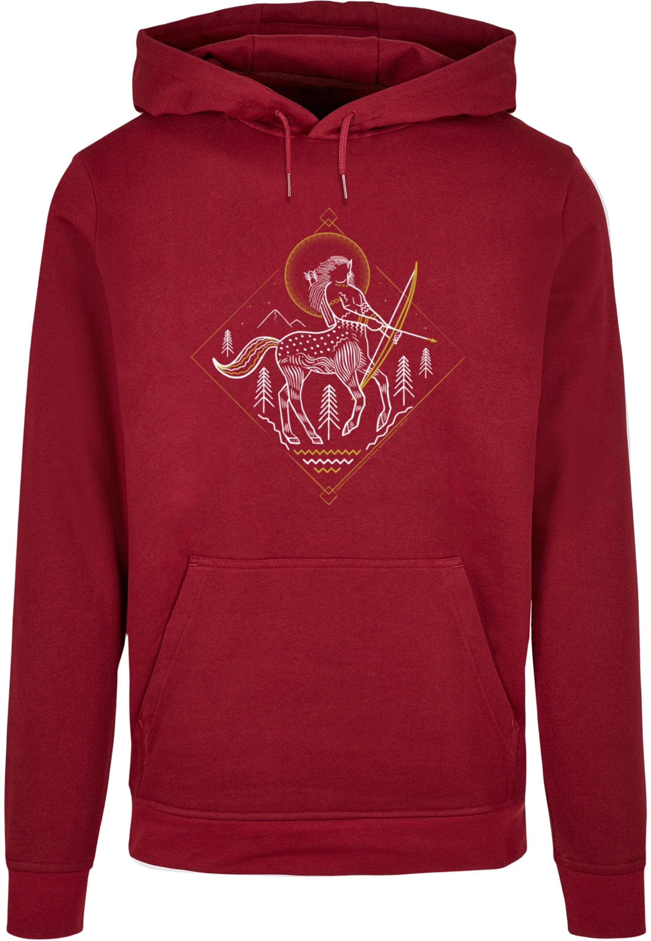 Sweat-shirt 'Harry Potter - Centaur Line' ABSOLUTE CULT en rouge : devant