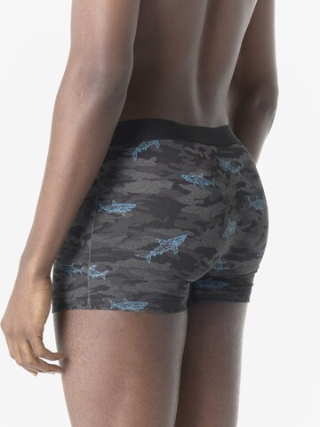 Boxeri de la KOROSHI pe gri