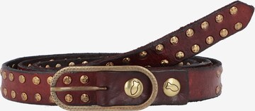 Campomaggi Belt in Brown: front