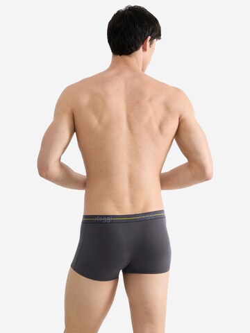 SLOGGI Retro Boxer ' Blue Start ' in Grau