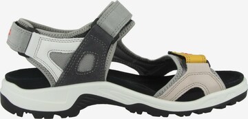 Sandales de randonnée 'Offroad' ECCO en gris