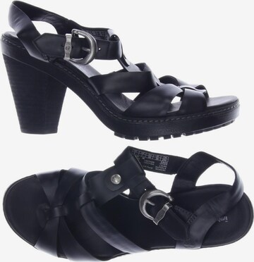 TIMBERLAND Sandals & High-Heeled Sandals in 40 in Black: front