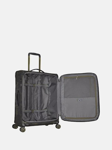 Trolley di Roncato in verde