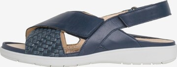 Ganter Sandalen met riem in Blauw