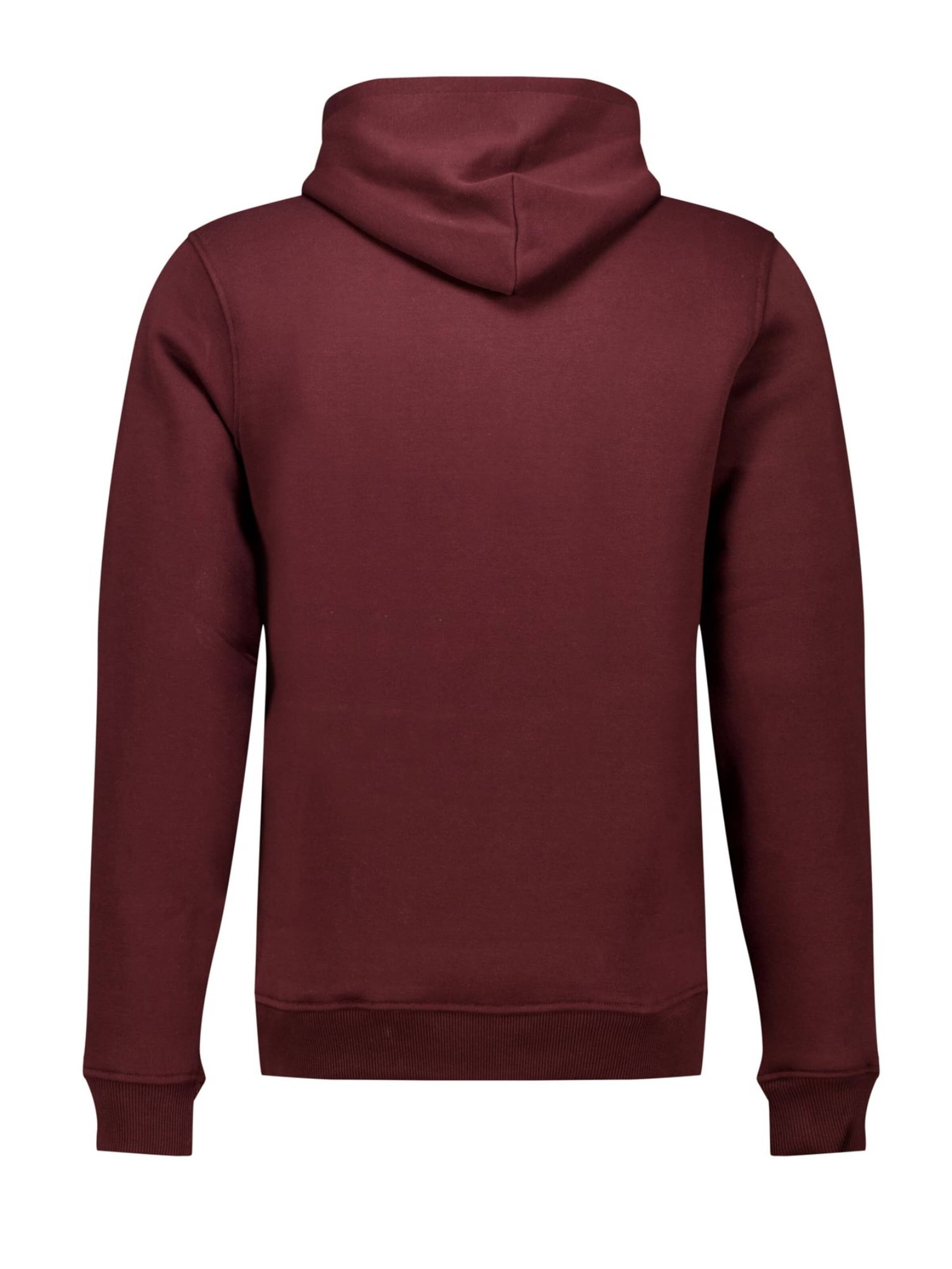 Deeluxe Sweatshirt‌‌‌‌‌‌‌‌ in Rot