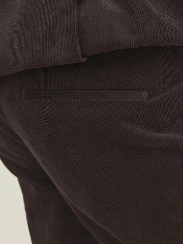 regular Pantaloni con piega frontale di JACK & JONES in marrone