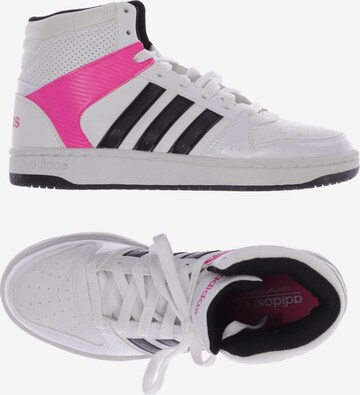 Adidas neo top 5 white