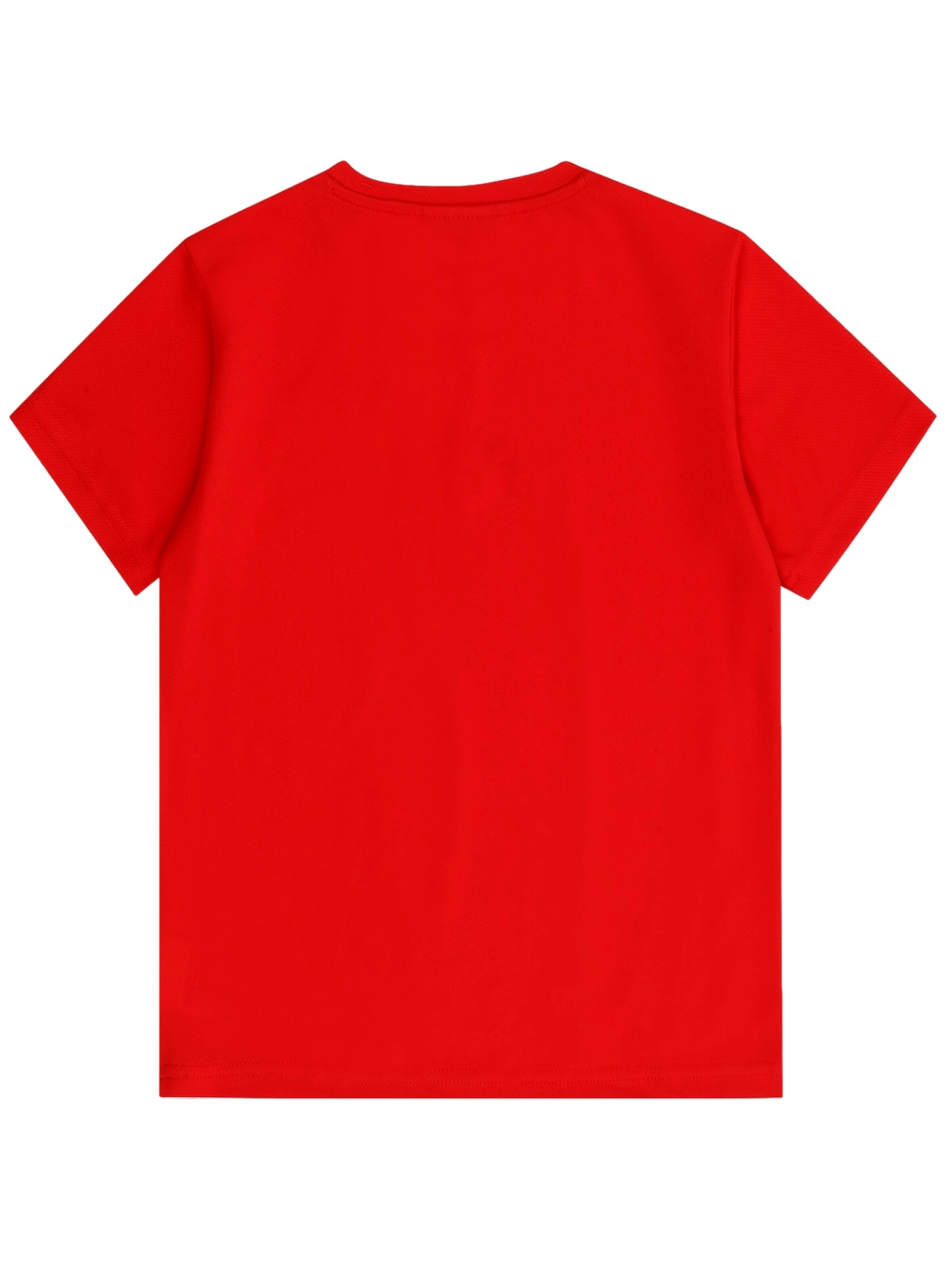 Champion Authentic Athletic Apparel Shirts i orange