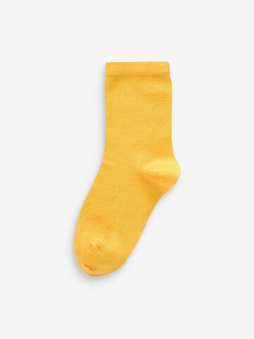 Chaussettes Next en bleu
