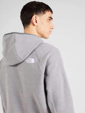THE NORTH FACE Sportspullover '100 Glacier Fleece Hoodie' i grå