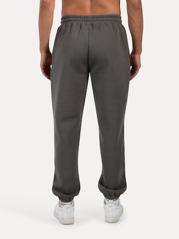 Effilé Pantalon Smilodox en gris