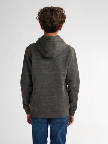 Petrol Industries Sweatshirt 'Yakima' in Green