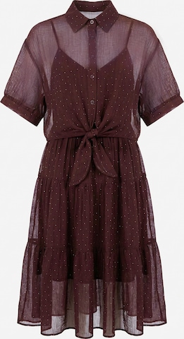 Robe usha BLACK LABEL en marron : devant