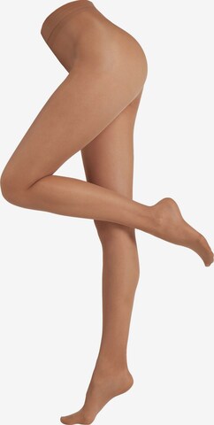 CALZEDONIA Fine Tights in Brown: front