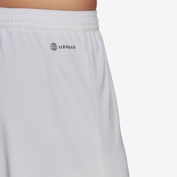 ADIDAS SPORTSWEAR Regular Sportshorts 'Entrada 22' in Weiß