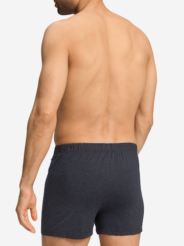 Boxers ' Casuals Daywear ' Hanro en gris