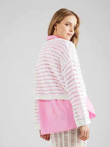 HOLLISTER Trui in Wit
