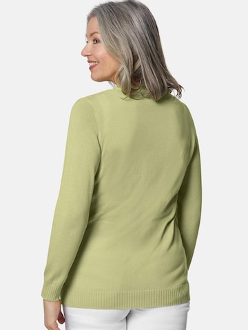 Goldner Sweater in Green