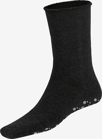 Calzino 'Homepads' di Hudson in grigio: frontale