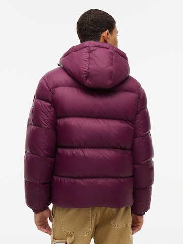 Tommy Jeans Winter Jacket 'Essential' in Purple