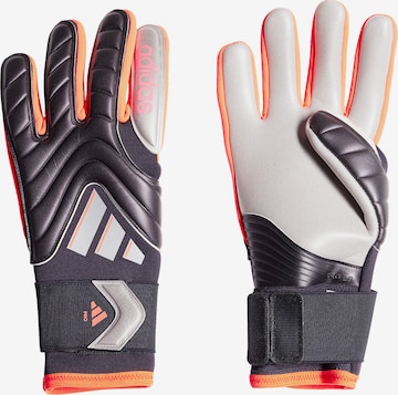 ADIDAS PERFORMANCE Urheilukäsineet värissä musta: etupuoli