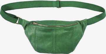 Orchid Fanny Pack 'Freesia' in Green