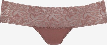 VIVANCE Thong in Mixed colors