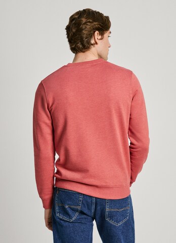Felpa di Pepe Jeans in marrone
