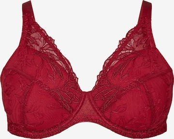 Sutien de la Devoted by Zizzi pe roșu: față