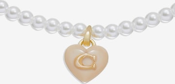 COACH Necklace in White: front