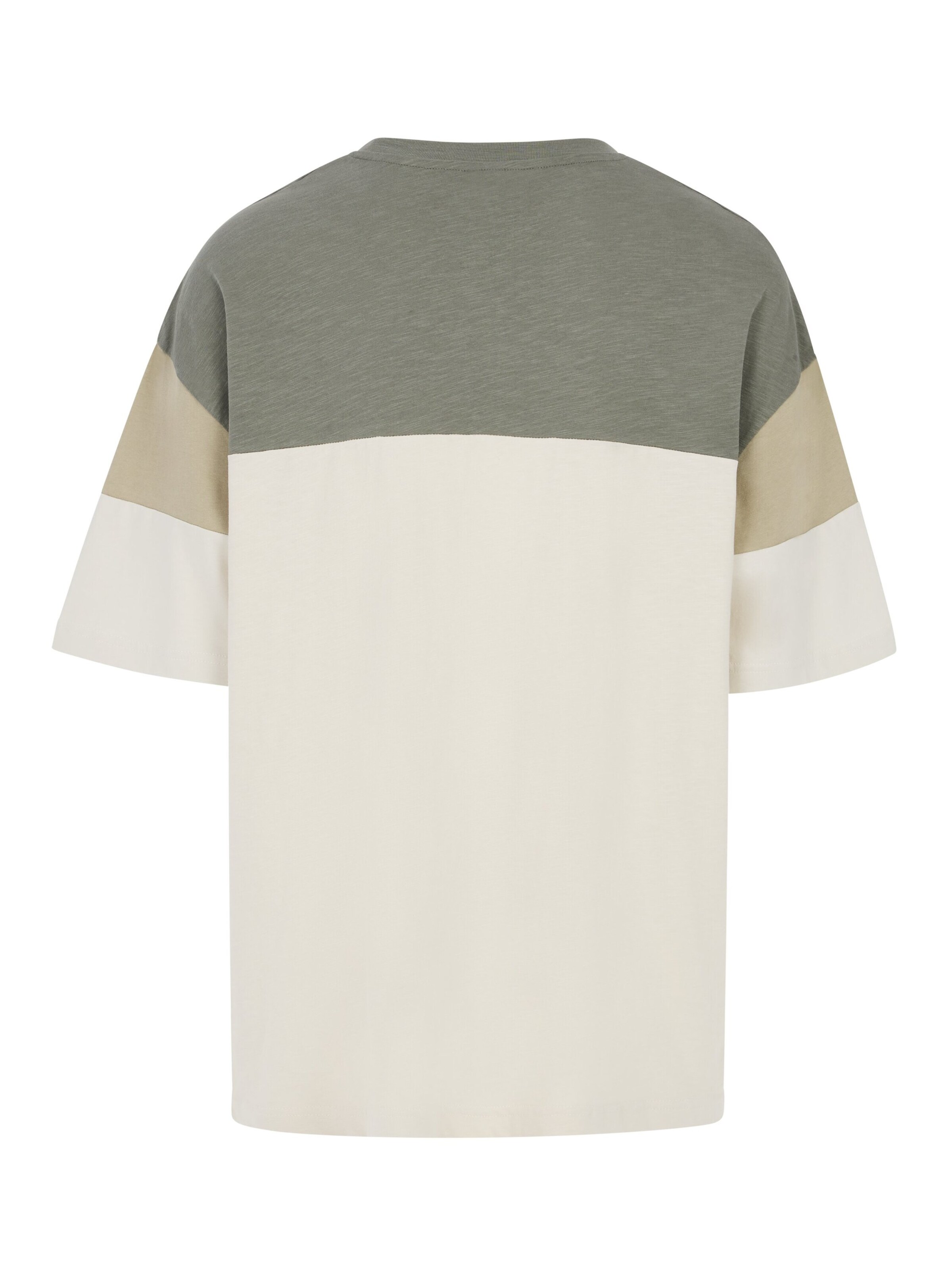 PROTEST Shirt 'PRTDuel'‌‌‌‌‌‌‌‌‌‌ in Grau