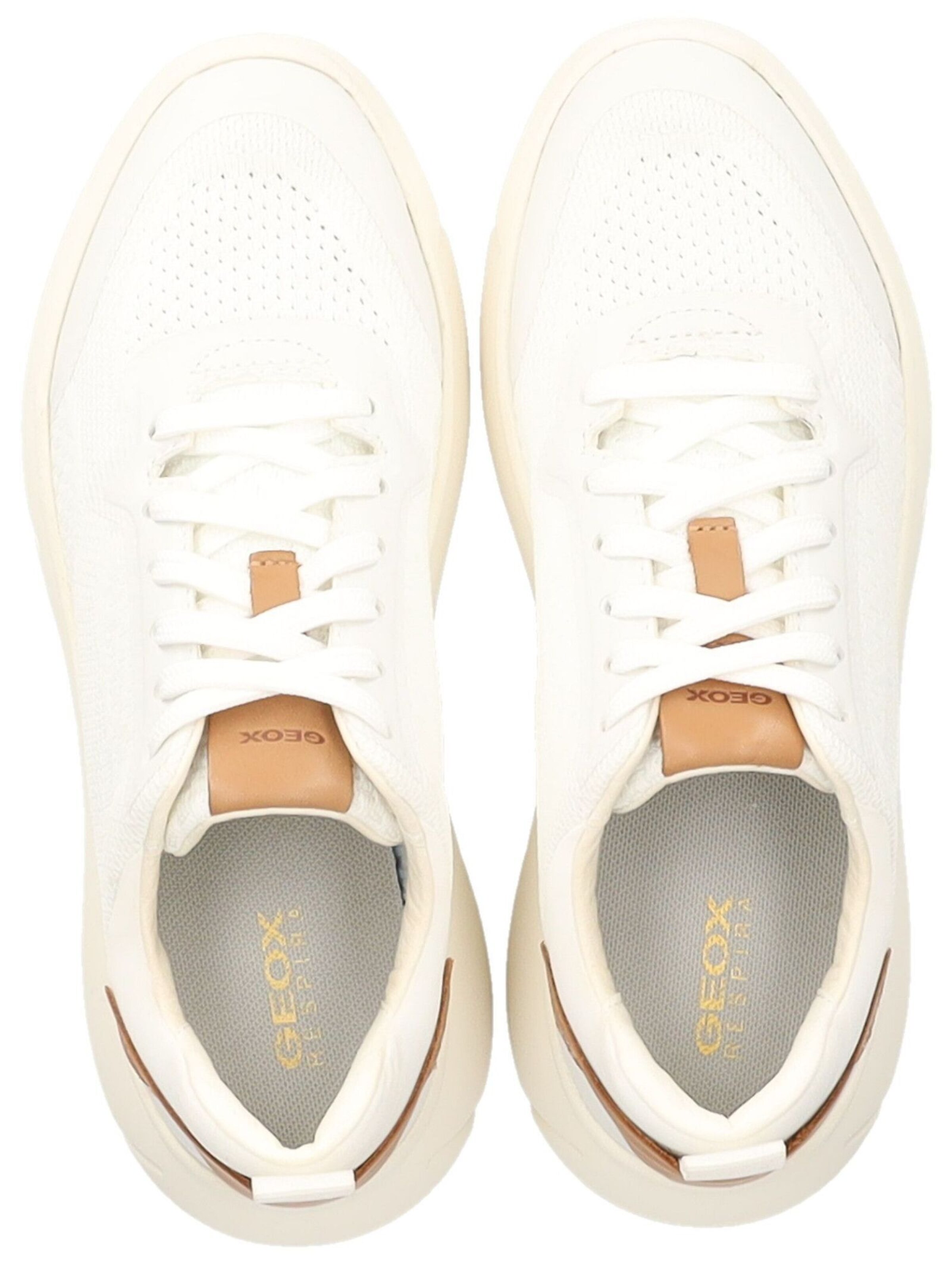 GEOX Platform trainers in White