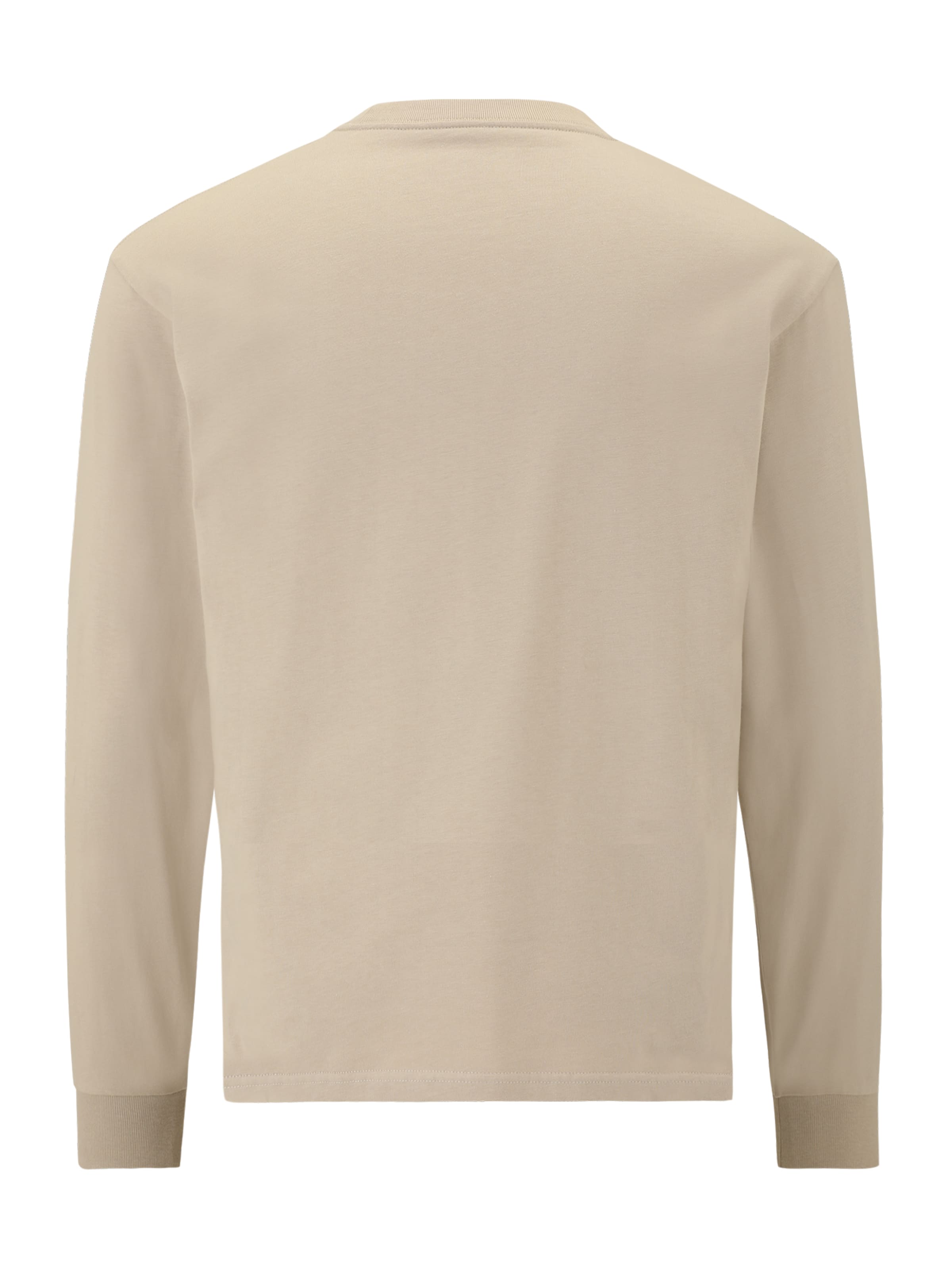 Carhartt WIP Shirt 'Chase' in Braun