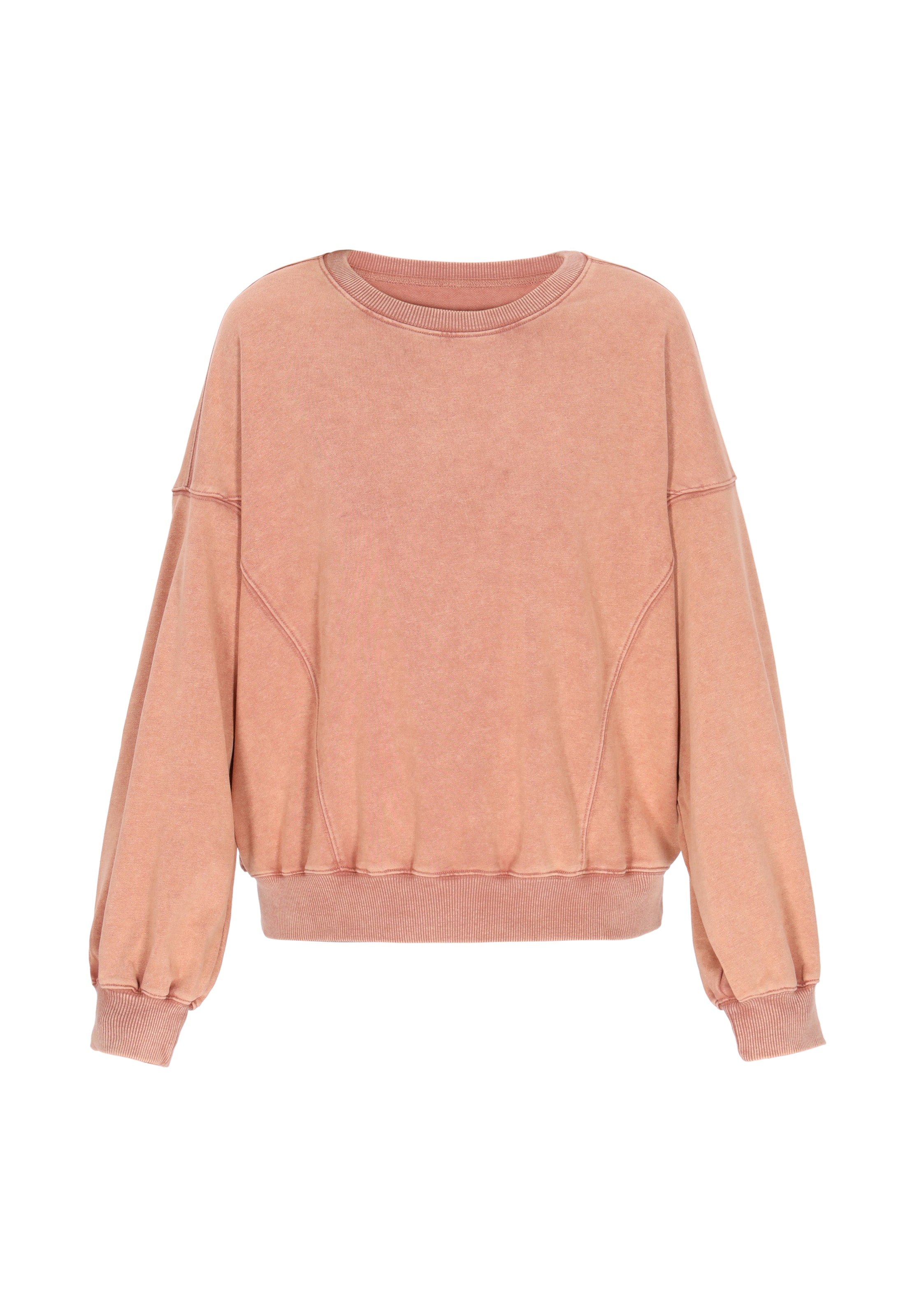 ebeeza Sweatshirt in Brown: front