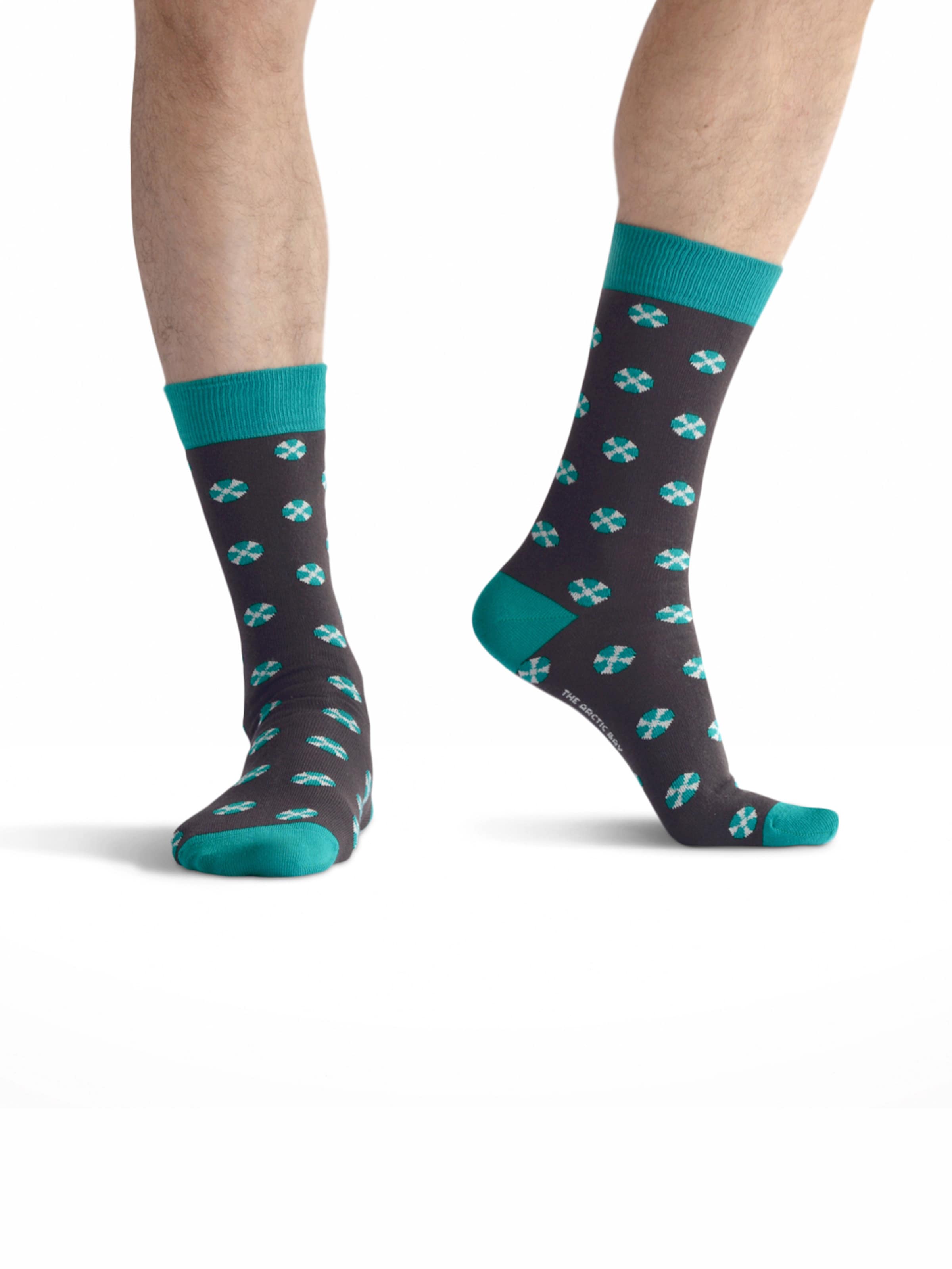 Chaussettes 'GAEA EDITION Gift box 4 Pack Unisex' The Arctic Bay en mélange de couleurs