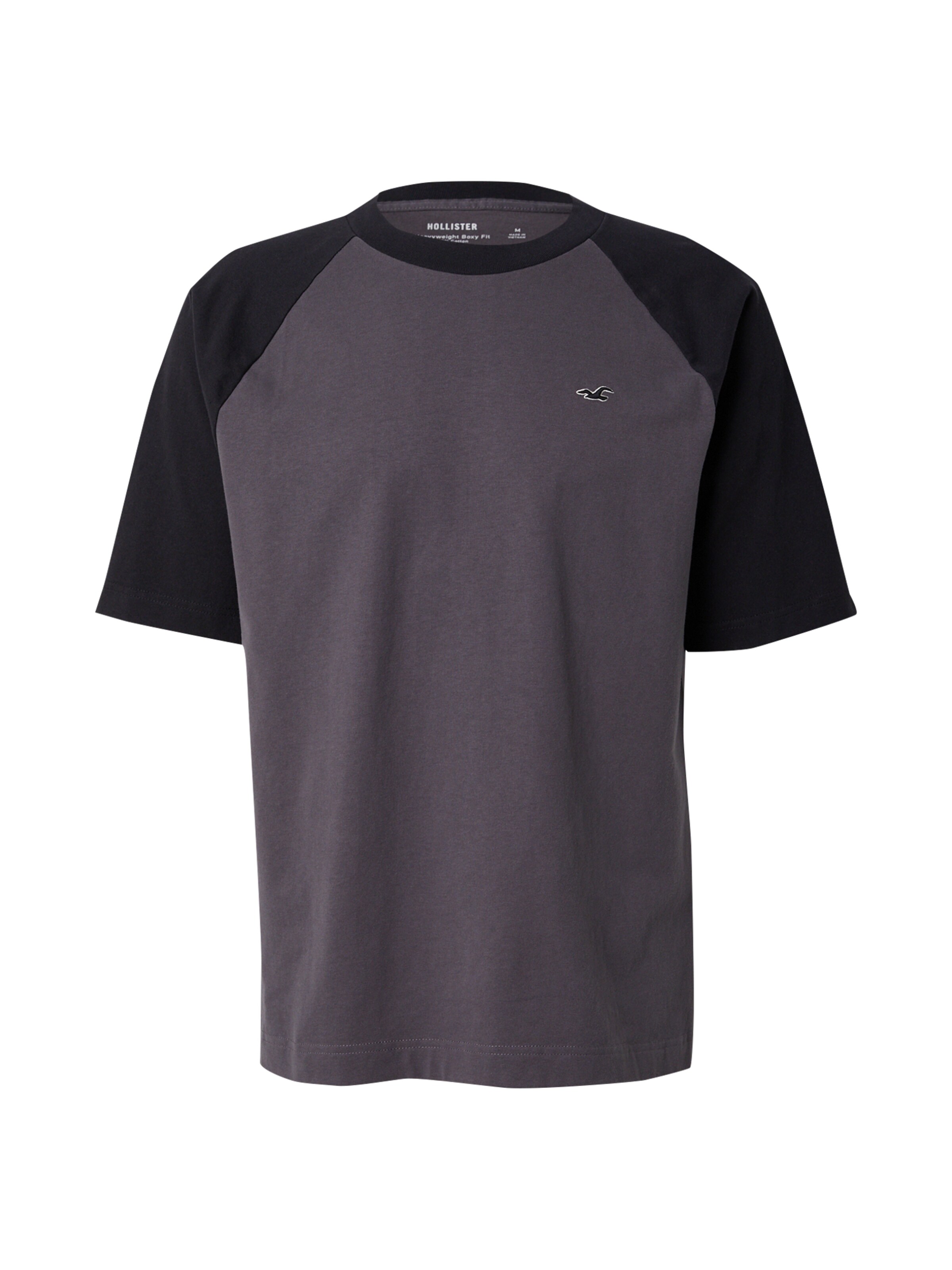 T-Shirt HOLLISTER en noir : devant