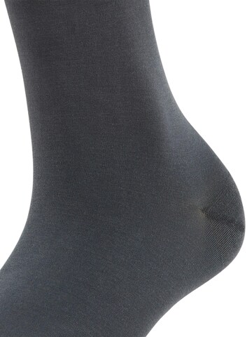 FALKE Kniestrümpfe 'Fine Softness'‌‌‌‌‌‌‌ in Grau