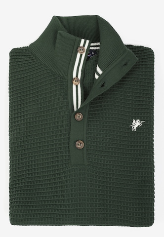 DENIM CULTURE Sweater 'Lindon' in Green