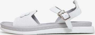 CESARE GASPARI Sandals in White: front