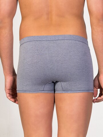 zd ZERO DEFECTS Boxershorts 'Ikaria Trunk' in Blau