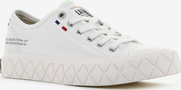 Palladium Sneaker 'Palla Ace' in Weiß