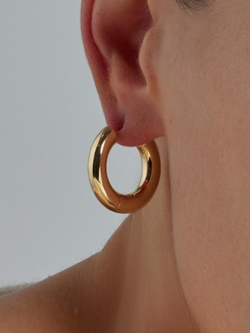 Luxenter Oorbellen 'Saura' in Goud