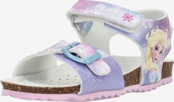 GEOX Sandale in Lila: Vorderseite