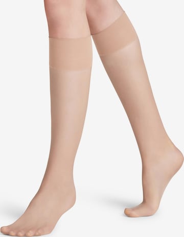 FALKE Knee High Socks 'Pure Matt' in Beige: front