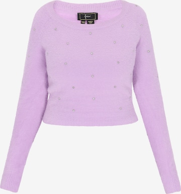 purpurinė faina Megztinis: priekis