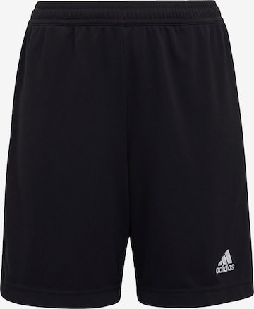 ADIDAS PERFORMANCE - Pantalón deportivo 'Entrada 22' en negro: frente