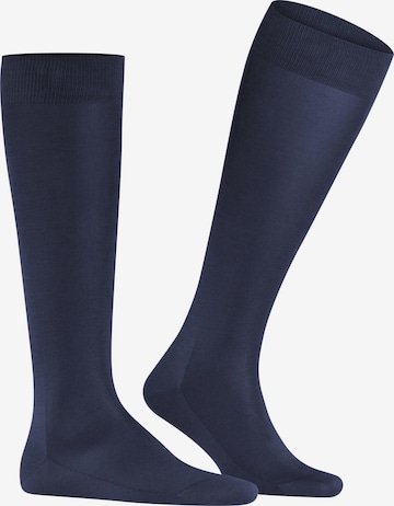 FALKE Knee High Socks 'Tiago' in Blue: front