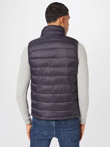 Lake View Bodywarmer 'David' in Zwart