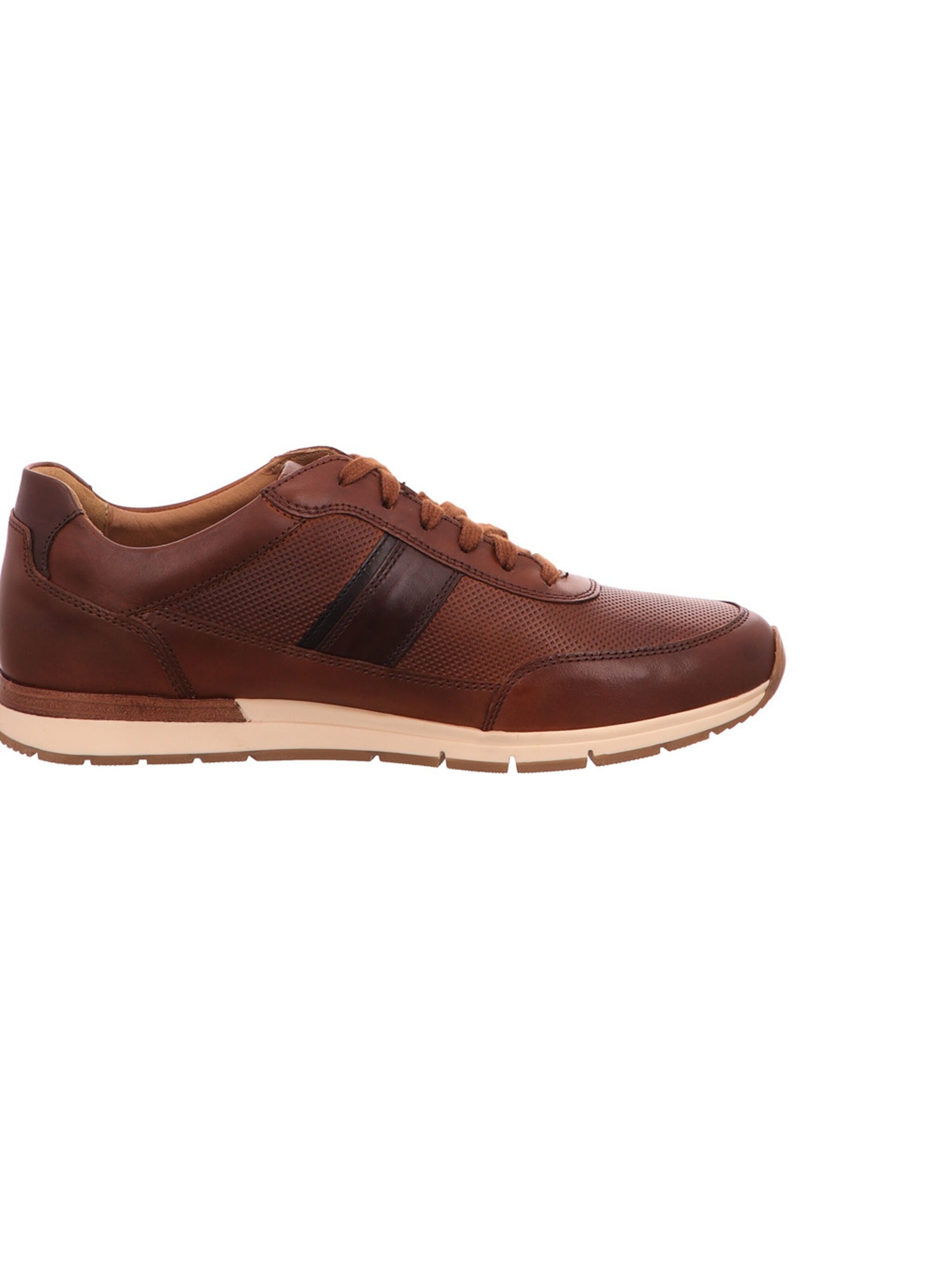 Pius Gabor Sneakers in Brown