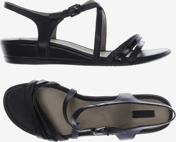 ECCO Sandals & High-Heeled Sandals in 41 in Black: front